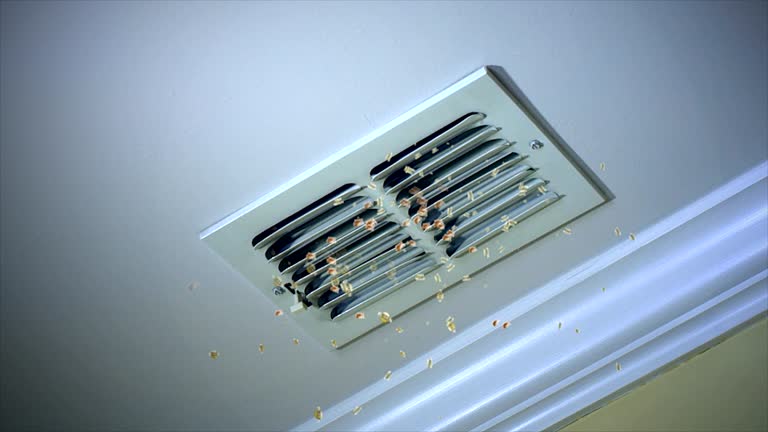 Best Air Duct Cleaning Near Me  in Brenham, TX