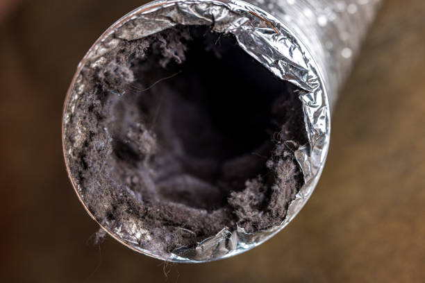 Best HVAC Maintenance and Cleaning  in Brenham, TX