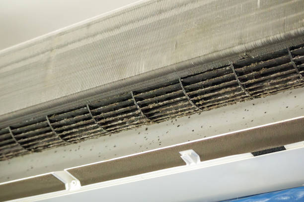 Best Ductwork Cleaning Services  in Brenham, TX